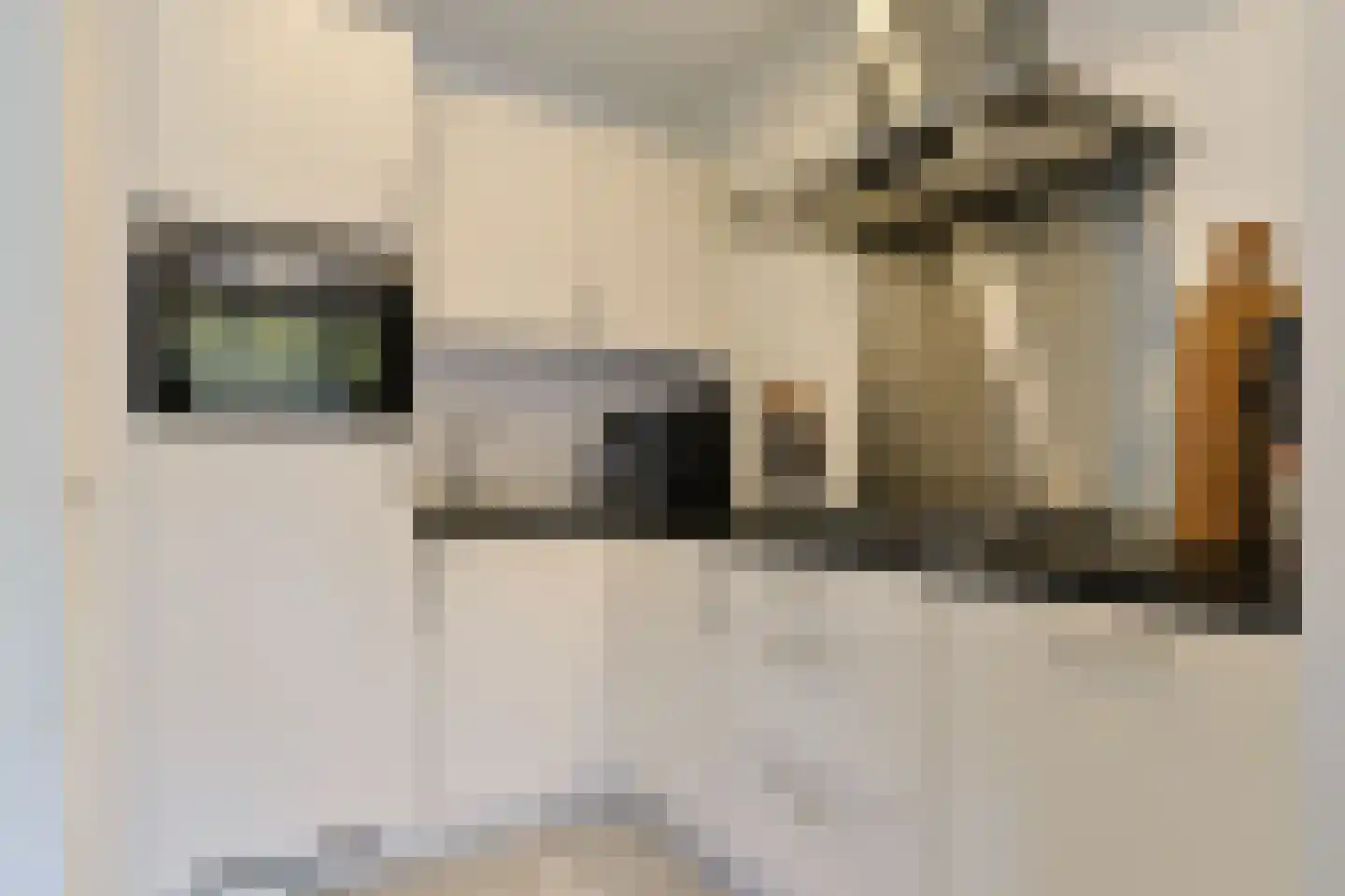 Barentszstraat 23 Alphen aan den Rijn thumbnail 15