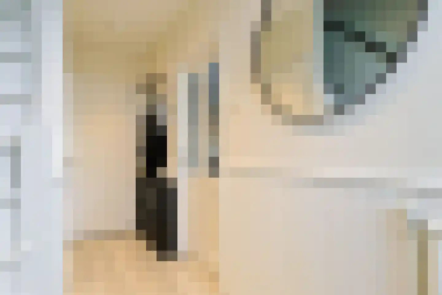 Barentszstraat 23 Alphen aan den Rijn thumbnail 5