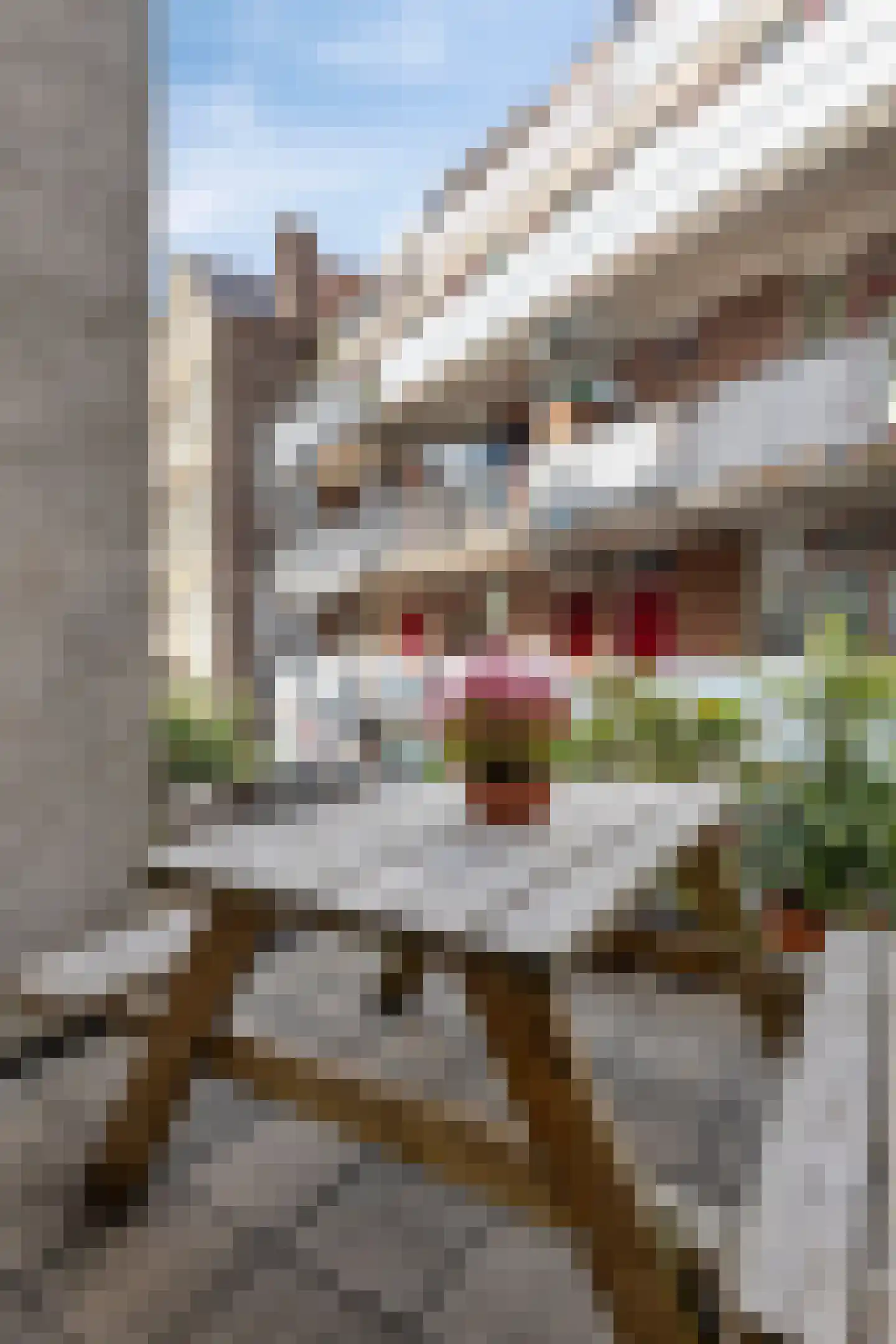 Barentszstraat 234 B Amsterdam thumbnail 19