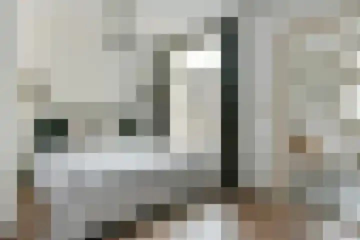 Barentszstraat 257 Amsterdam thumbnail 19