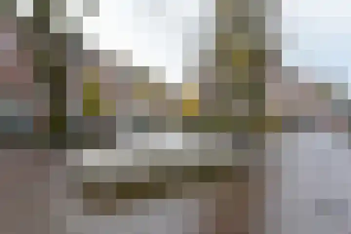 Barentszstraat 257 Amsterdam thumbnail 7