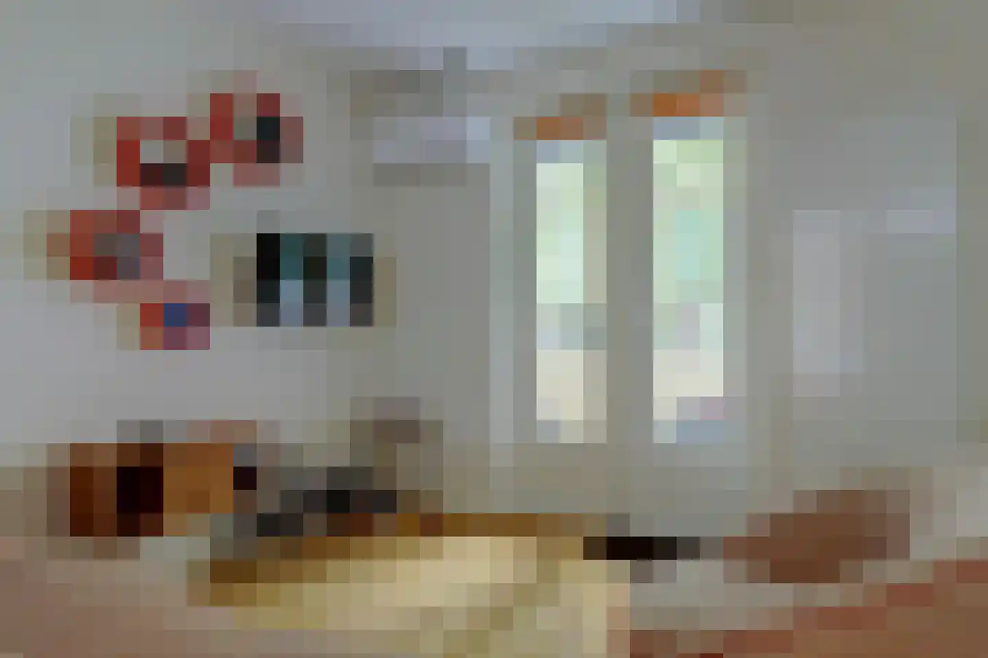 Barentszstraat 269 Amsterdam thumbnail 4