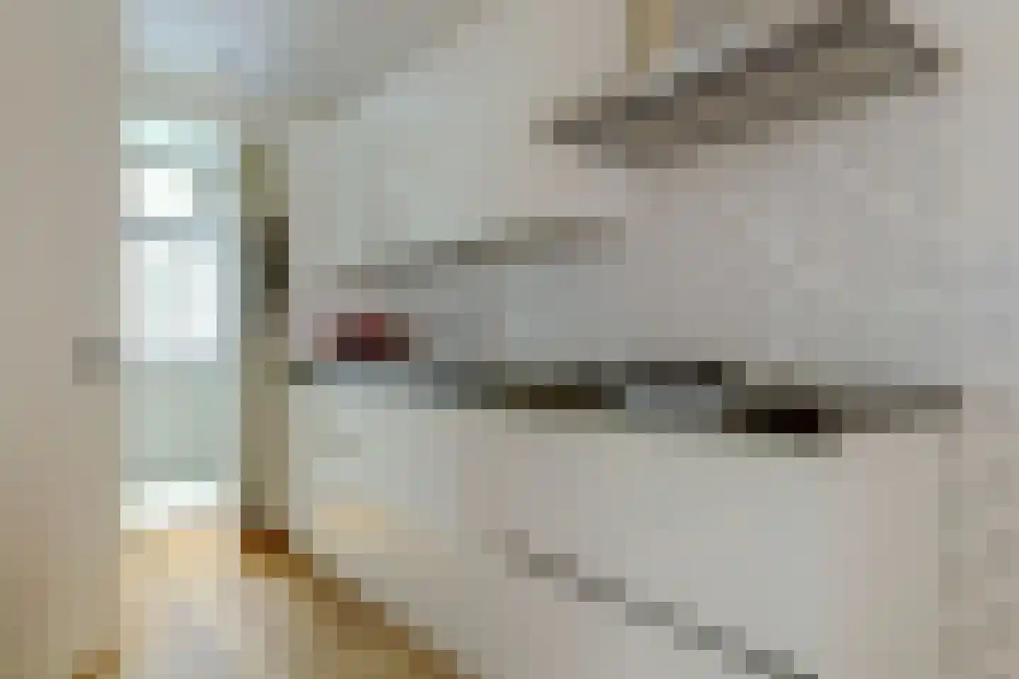 Barentszstraat 269 Amsterdam thumbnail 6