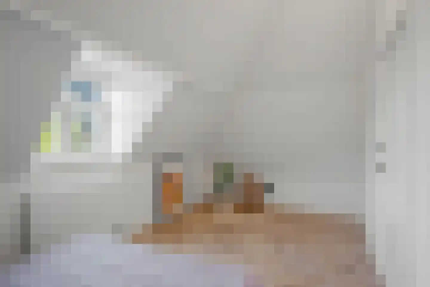 Barentszstraat 31 B Den Haag thumbnail 32