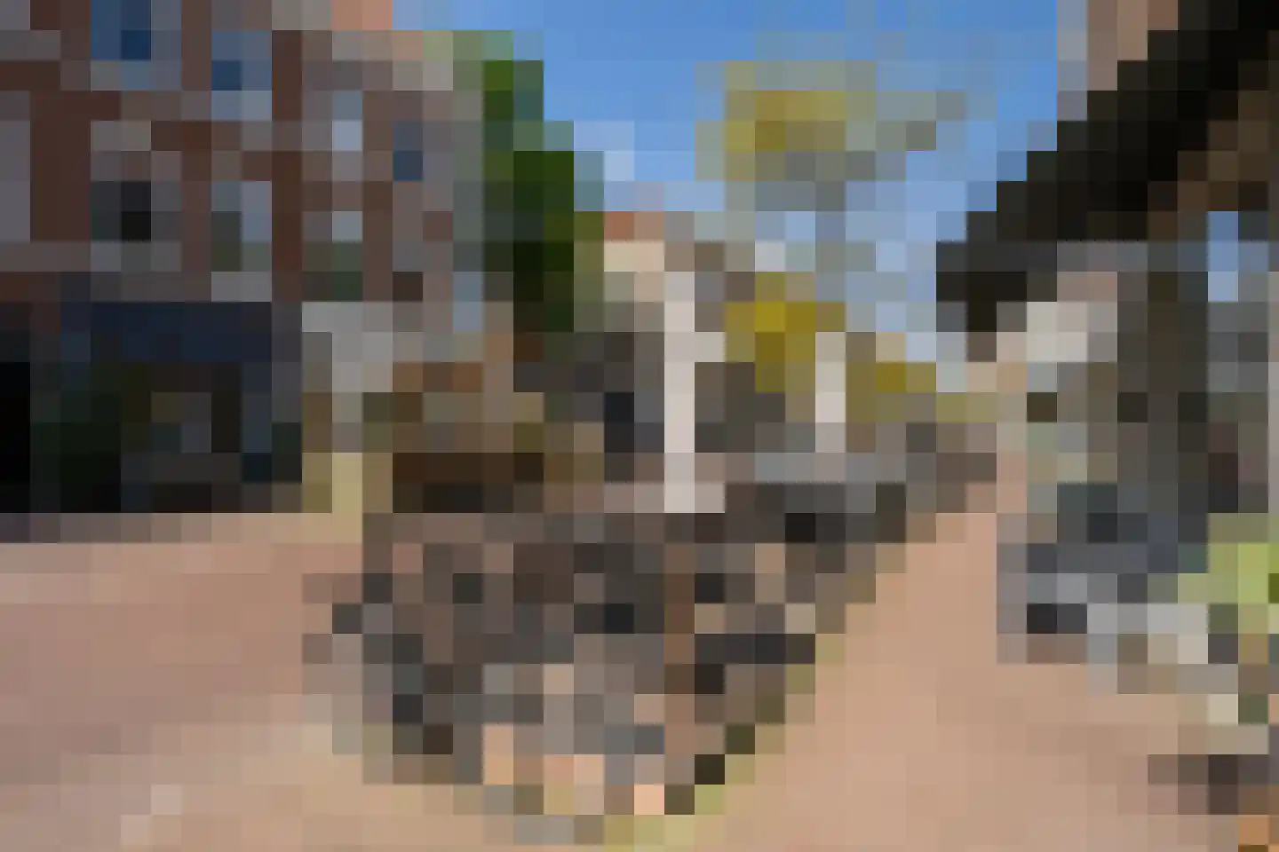 Barentszstraat 31 B Den Haag thumbnail 37