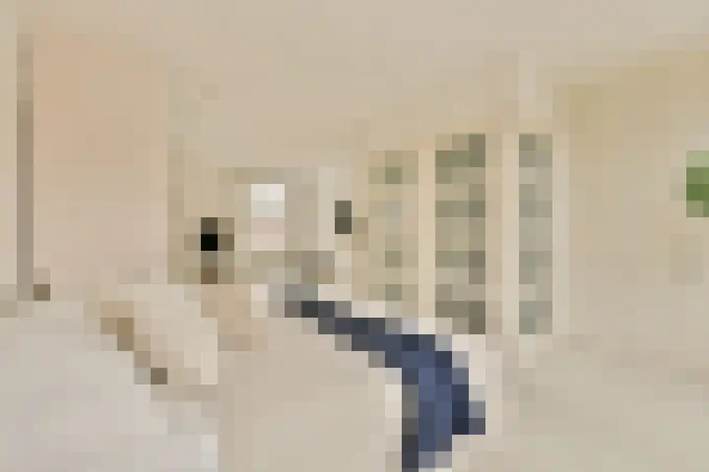 Barentszstraat 319 Amsterdam thumbnail 21