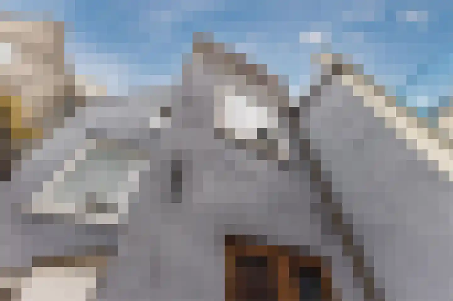 Barentszstraat 319 Amsterdam thumbnail 33