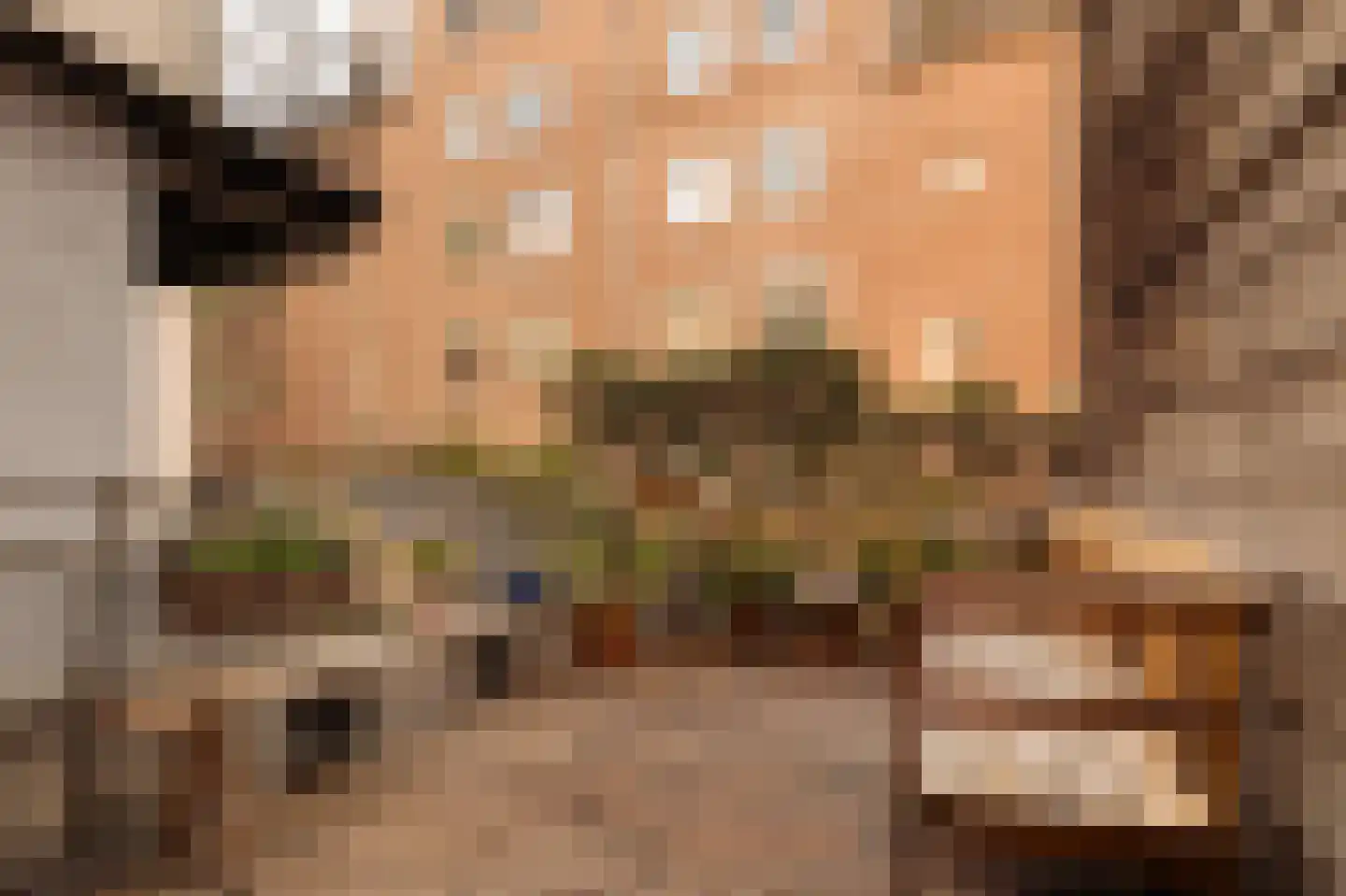 Barentszstraat 329 Amsterdam thumbnail 12
