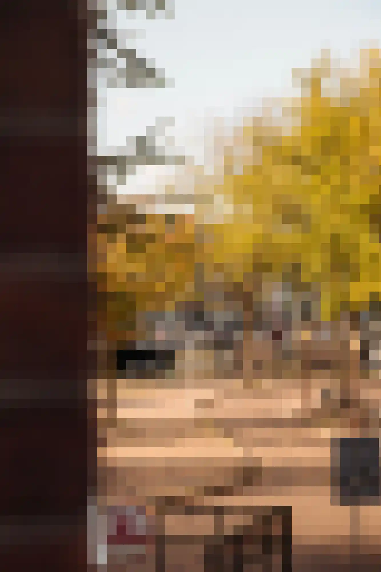 Barentszstraat 329 Amsterdam thumbnail 14