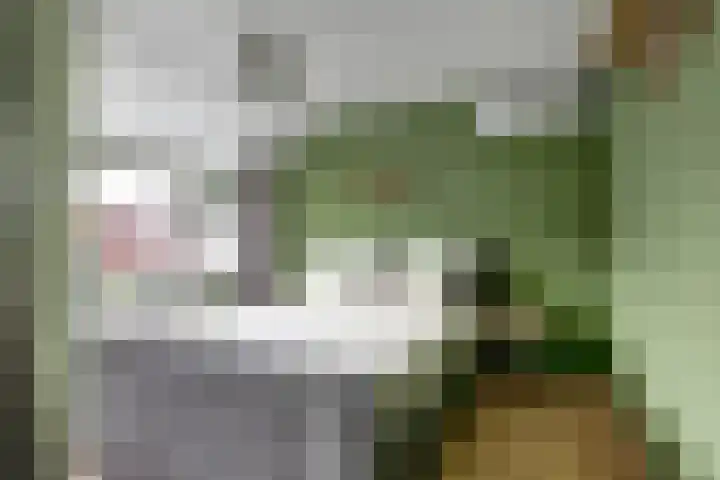 Barentszstraat 35 Alphen aan den Rijn thumbnail 16