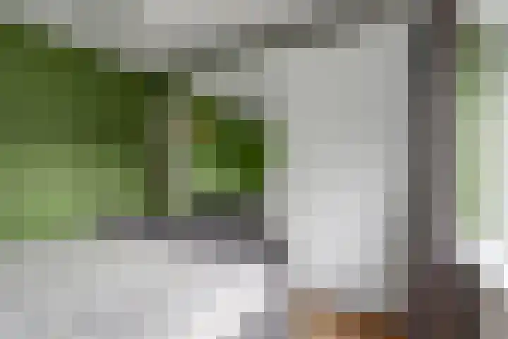 Barentszstraat 35 Alphen aan den Rijn thumbnail 17