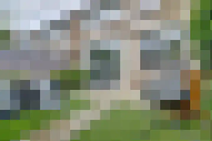 Barentszstraat 35 Alphen aan den Rijn thumbnail 21