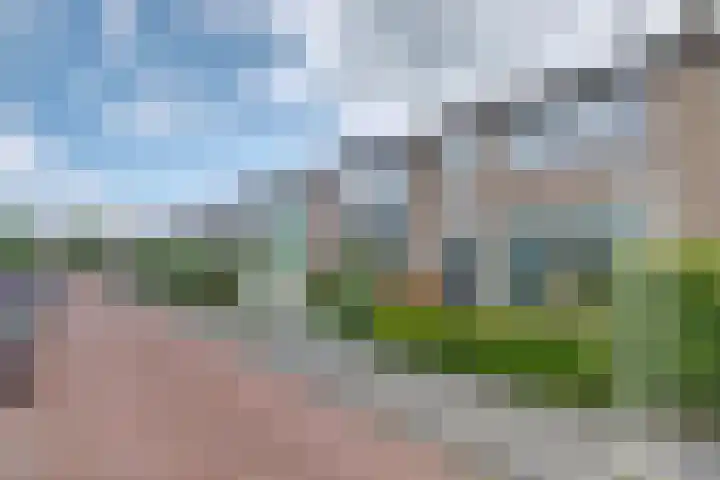 Barentszstraat 35 Alphen aan den Rijn thumbnail 23