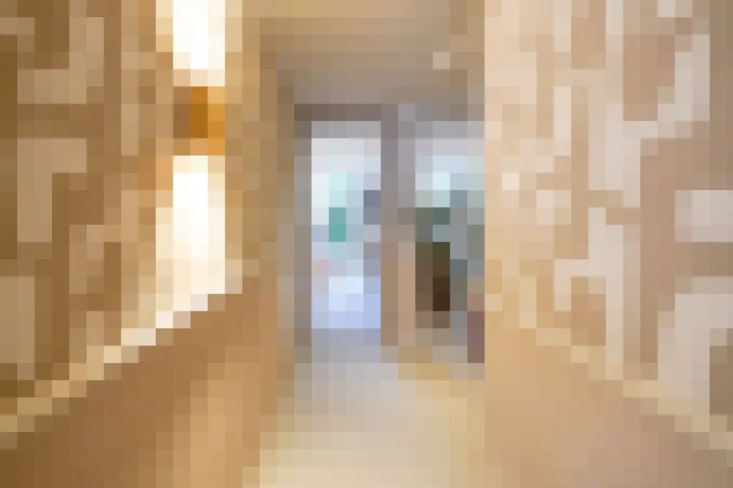 Barentszstraat 41 Den Haag thumbnail 6