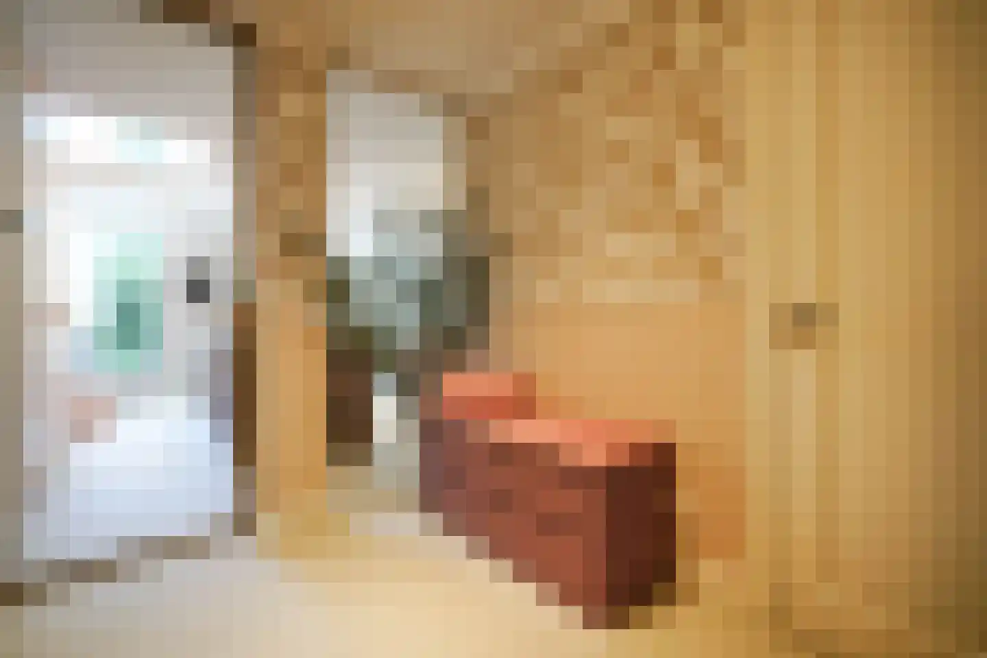 Barentszstraat 41 Den Haag thumbnail 8