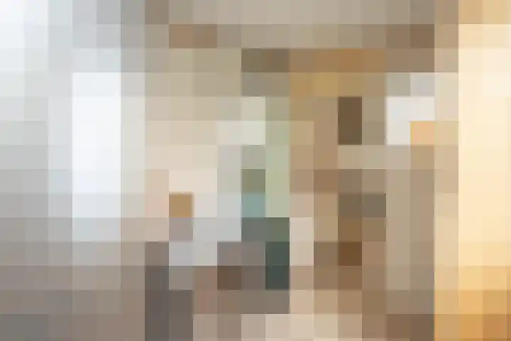 Barentszstraat 43 Oudeschild thumbnail 20