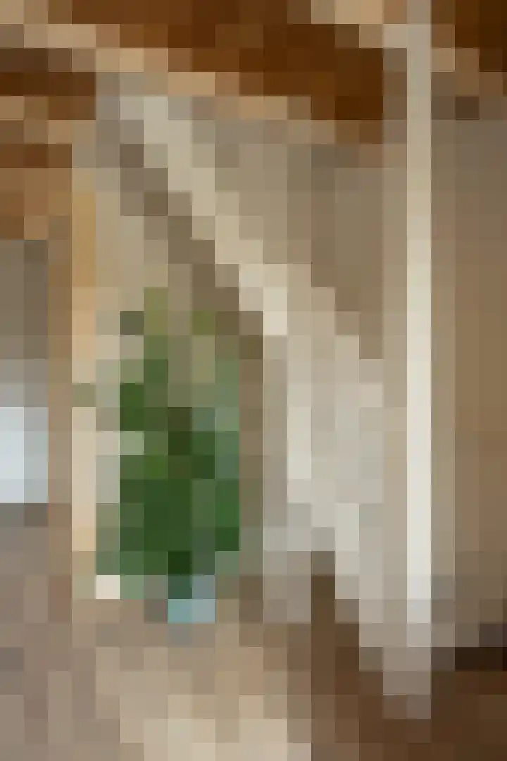 Barentszstraat 43 Oudeschild thumbnail 28