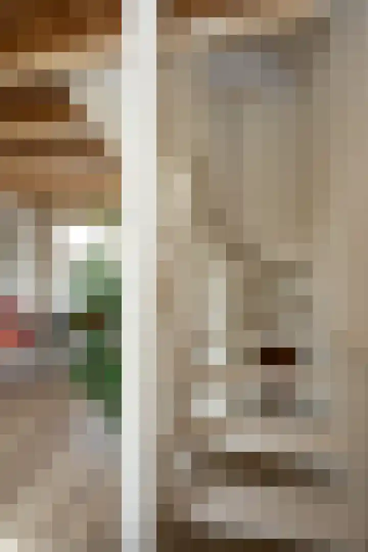 Barentszstraat 43 Oudeschild thumbnail 29