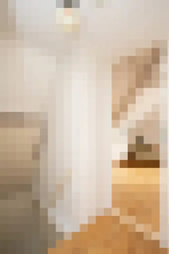 Barentszstraat 43 Oudeschild thumbnail 31