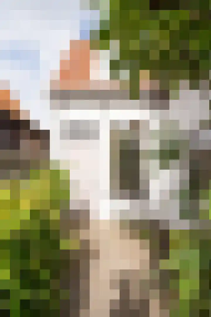 Barentszstraat 43 Oudeschild thumbnail 4