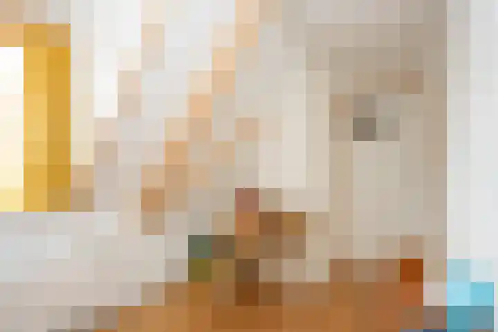 Barentszstraat 43 Oudeschild thumbnail 40