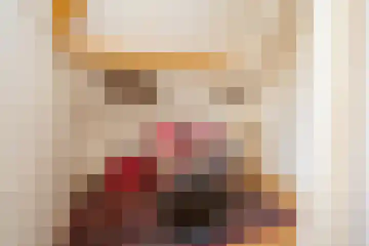 Barentszstraat 43 Oudeschild thumbnail 44