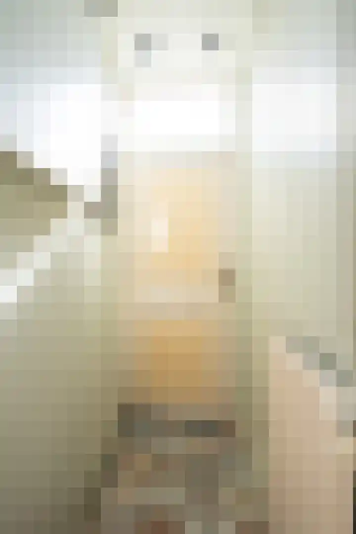 Barentszstraat 43 Oudeschild thumbnail 5