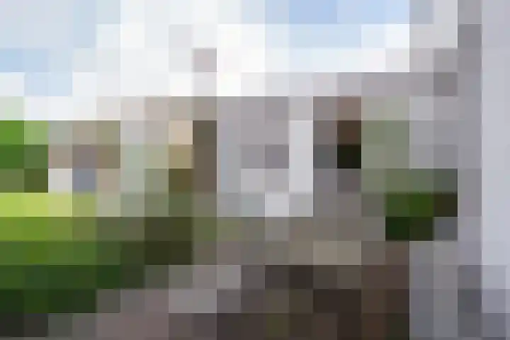 Barentszstraat 43 Oudeschild thumbnail 50