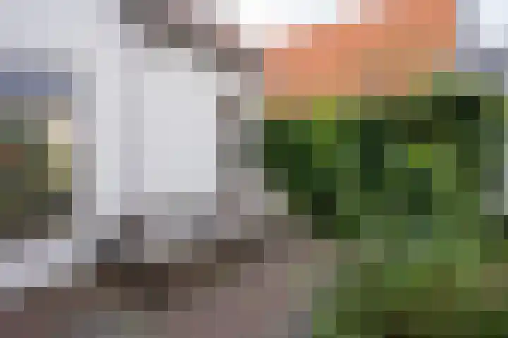 Barentszstraat 43 Oudeschild thumbnail 51