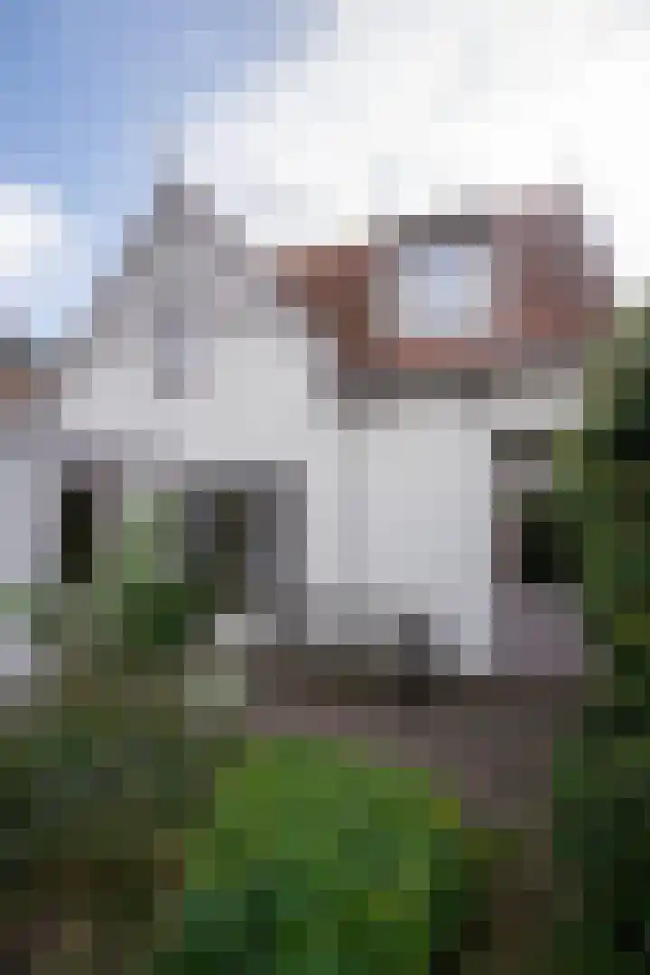 Barentszstraat 43 Oudeschild thumbnail 53