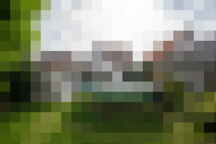 Barentszstraat 43 Oudeschild thumbnail 55