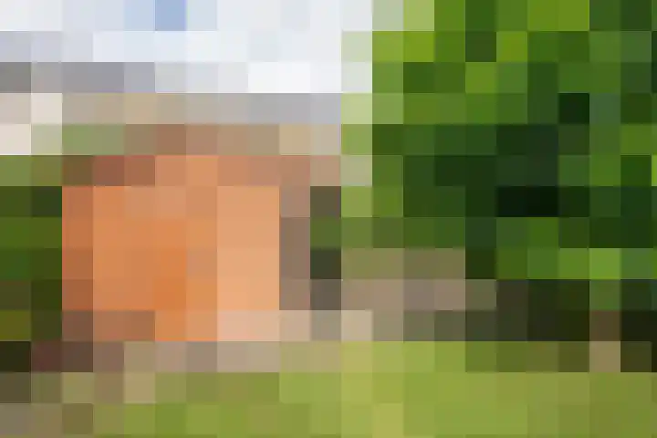 Barentszstraat 43 Oudeschild thumbnail 60