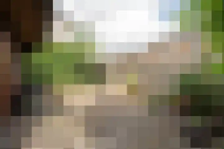 Barentszstraat 43 Oudeschild thumbnail 61