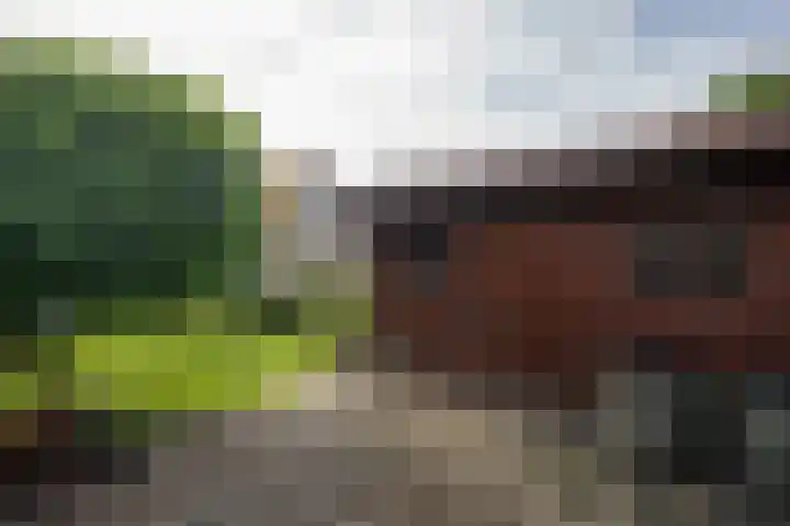 Barentszstraat 43 Oudeschild thumbnail 62