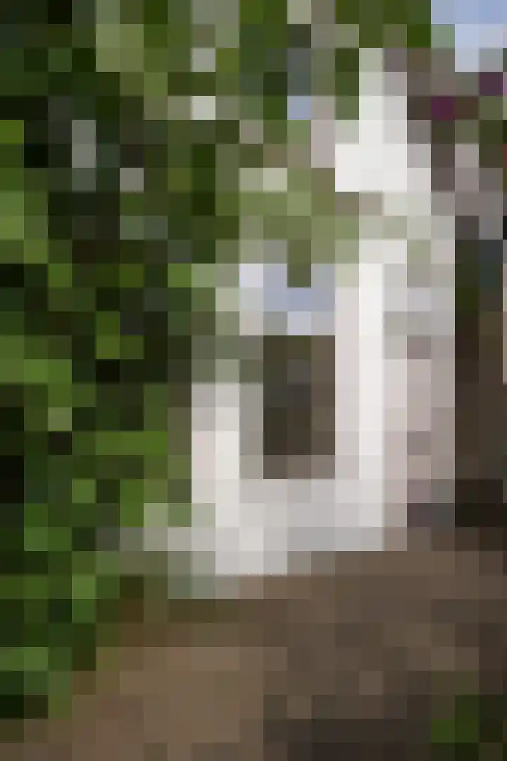 Barentszstraat 43 Oudeschild thumbnail 63