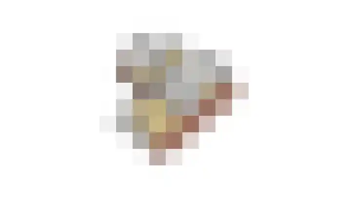Barentszstraat 43 Oudeschild thumbnail 70