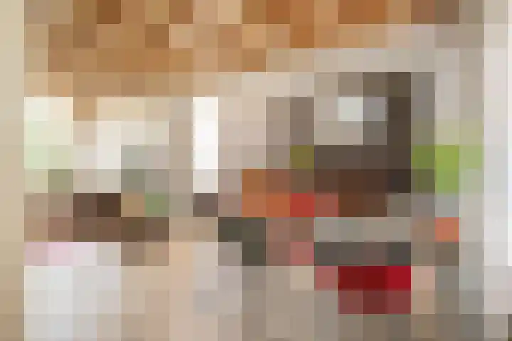 Barentszstraat 43 Oudeschild thumbnail 8
