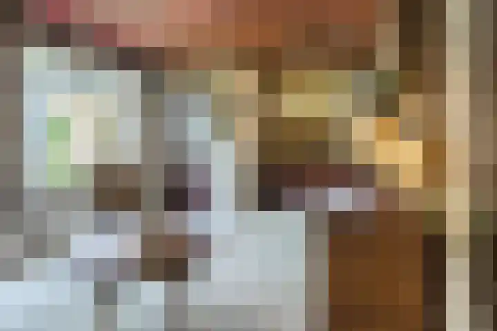 Barentszstraat 5 Dongen thumbnail 16