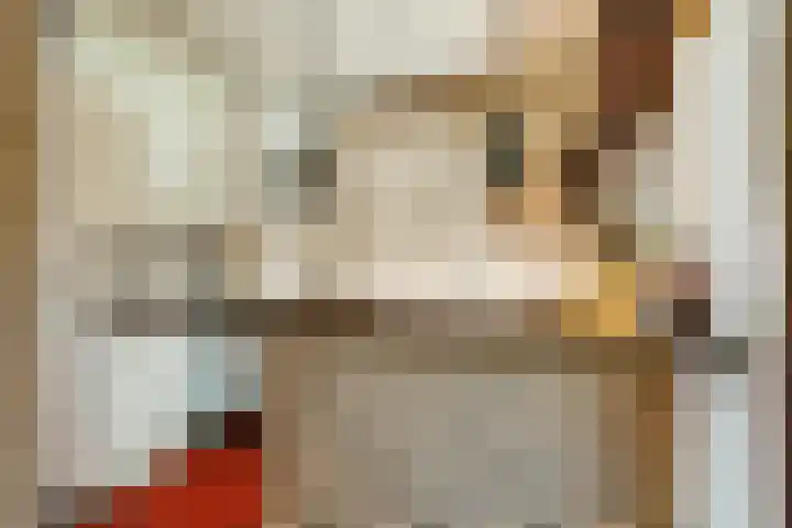 Barentszstraat 5 Dongen thumbnail 19
