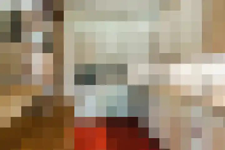 Barentszstraat 5 Dongen thumbnail 21