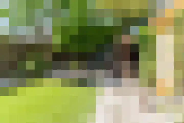 Barentszstraat 5 Dongen thumbnail 23