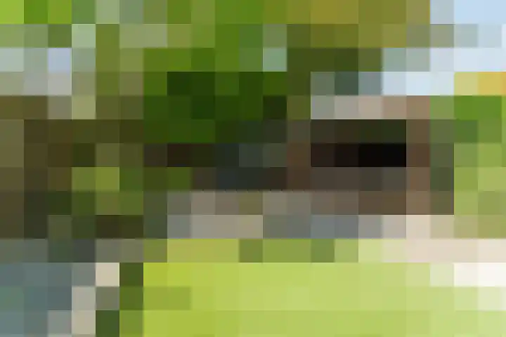 Barentszstraat 5 Dongen thumbnail 24