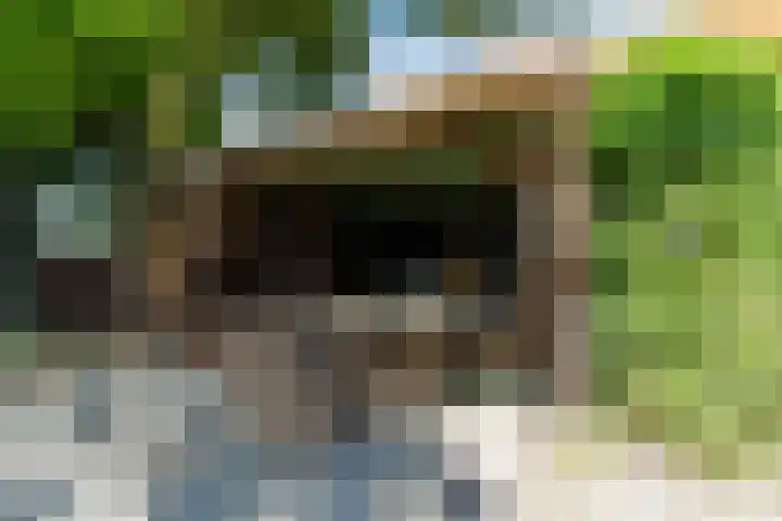Barentszstraat 5 Dongen thumbnail 25