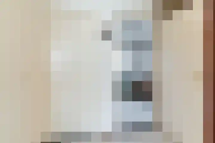 Barentszstraat 5 Dongen thumbnail 27