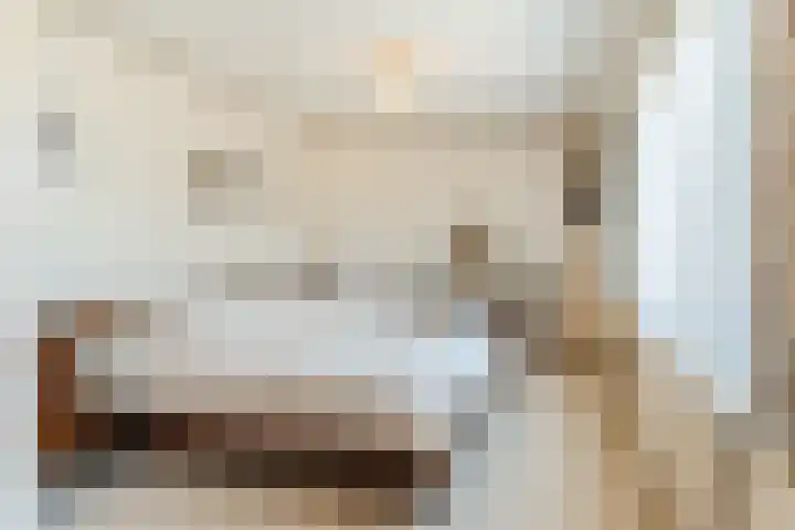 Barentszstraat 5 Dongen thumbnail 28