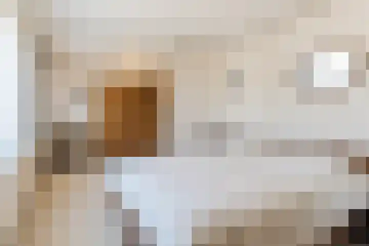 Barentszstraat 5 Dongen thumbnail 29