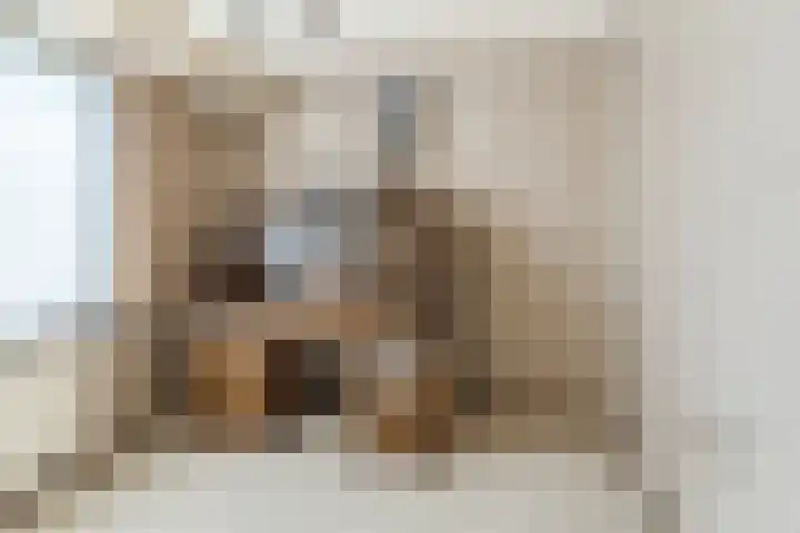 Barentszstraat 5 Dongen thumbnail 32