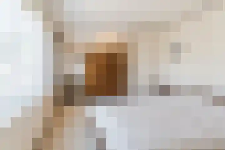 Barentszstraat 5 Dongen thumbnail 4
