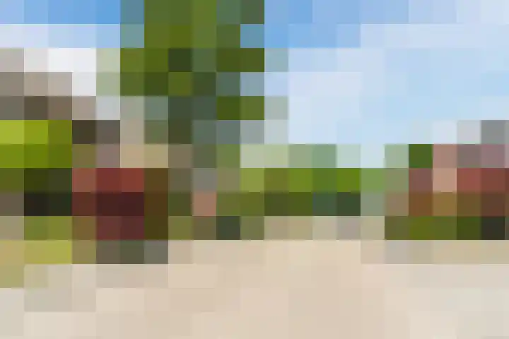 Barentszstraat 5 Dongen thumbnail 42