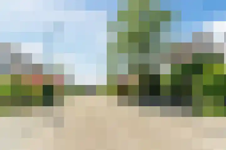 Barentszstraat 5 Dongen thumbnail 43